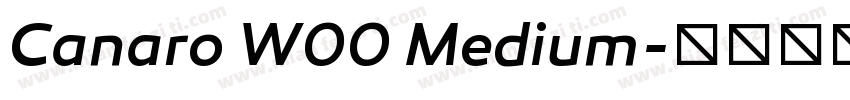 Canaro W00 Medium字体转换